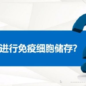 保险经纪新标杆 陈春雷如何以专业与信任赢得市场