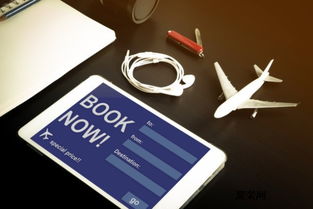 国际旅行社的注册要求与转让价格及保险经纪服务概述